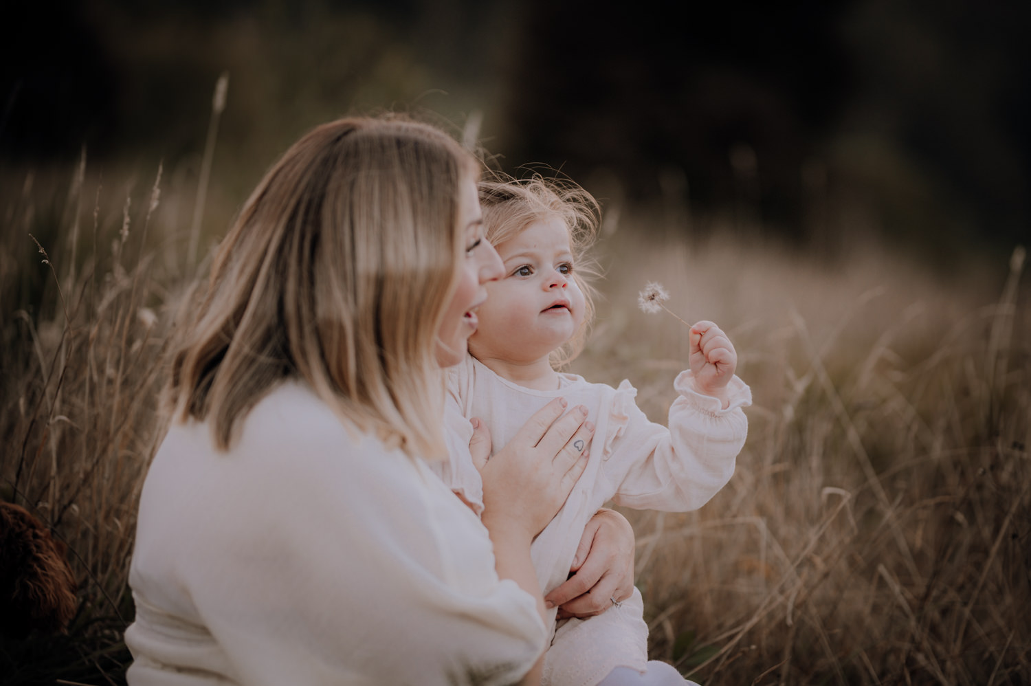 Daughter sitting in mum's lap blowing dandelion seeds at their Maternity Session in the Dandenong Ranges